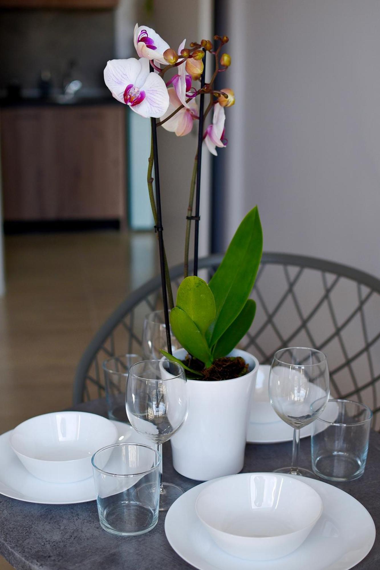 Room Nine 9 Beachfront Apartments Nea Kallikrateia 外观 照片