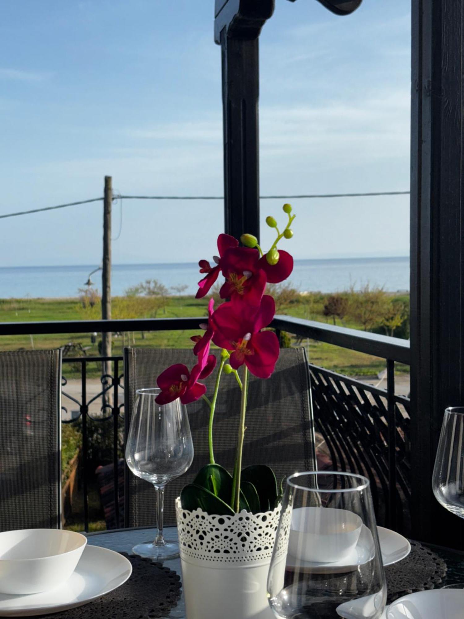 Room Nine 9 Beachfront Apartments Nea Kallikrateia 外观 照片
